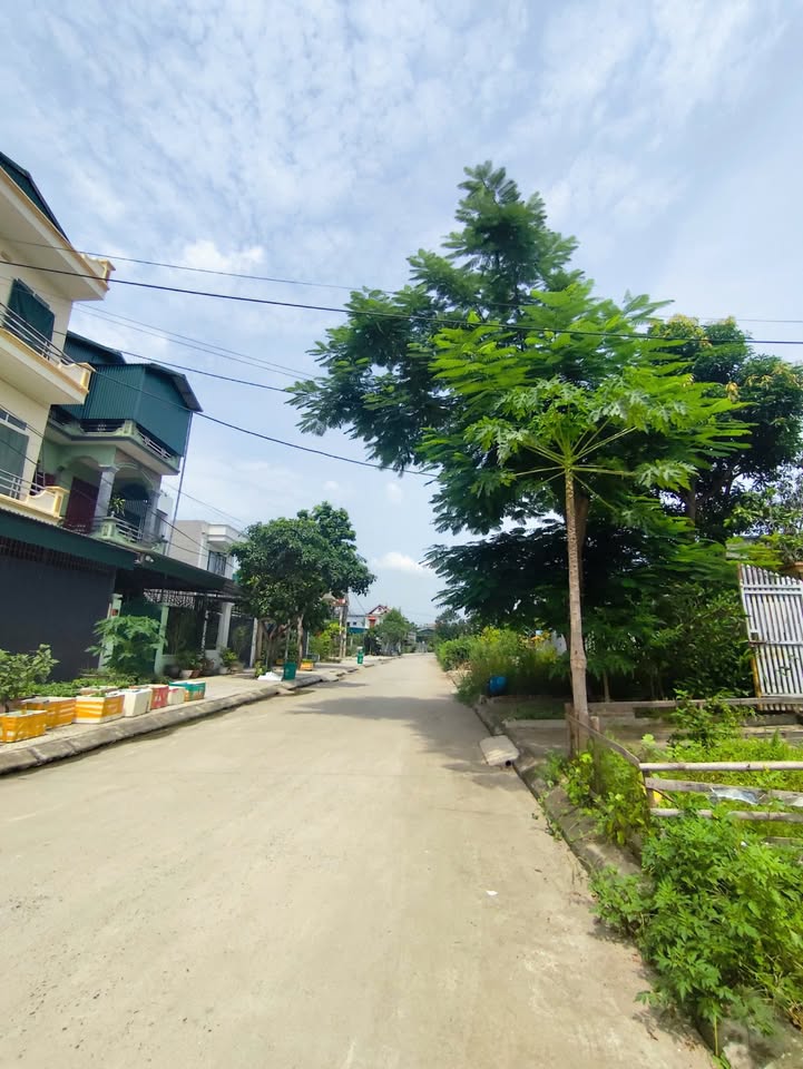 Đất 193m² tại phường Quang Trung, Uông Bí - Mặt tiền 7.3m, giá chỉ 2.8 tỷ!