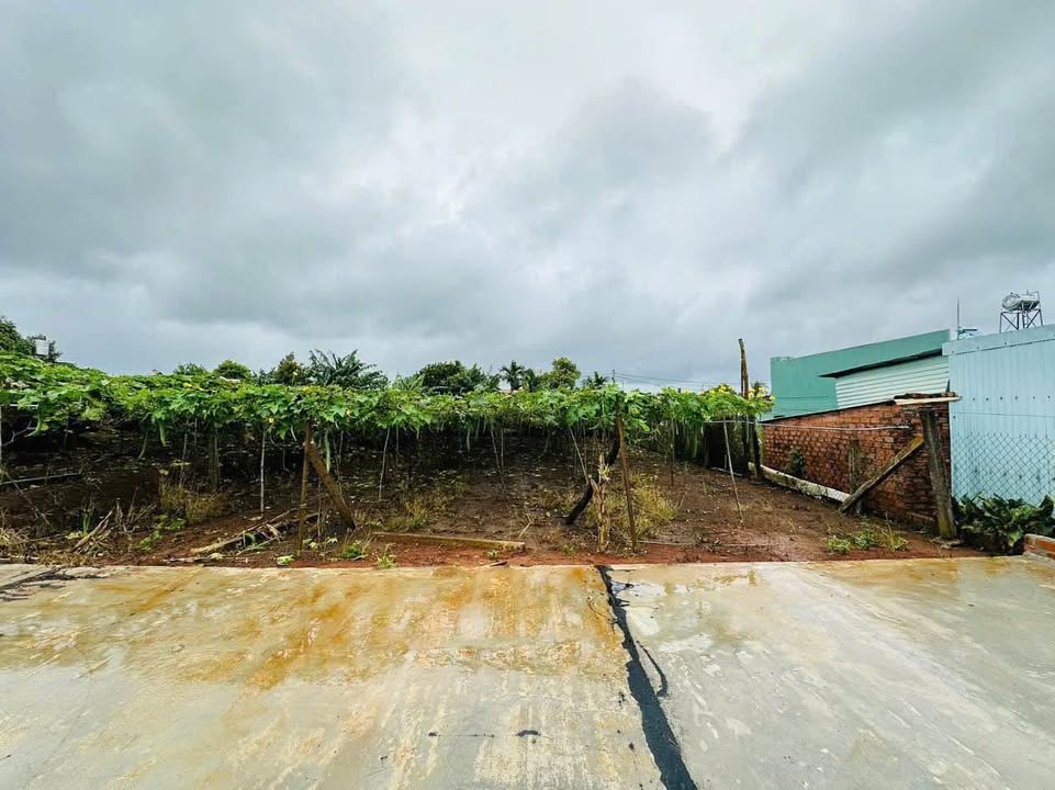 Đất nền Hẻm 52 An Dương Vương, Phường An Phú 140m² giá 800 triệu - Đầu tư sinh lời ngay!