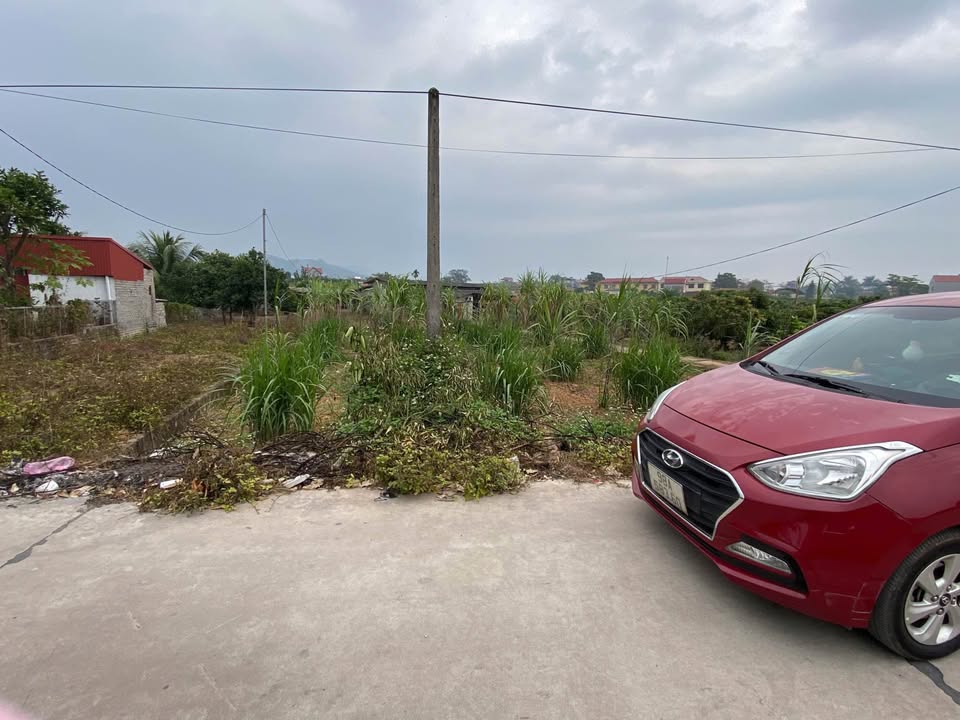 Đất Kiên Thành Lục Ngạn 305m² giá 1.3 tỷ - Cơ hội đầu tư hiếm có!