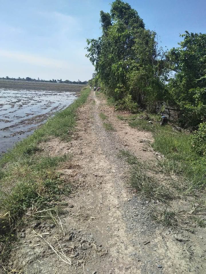 Đất Ruộng Kênh Ba Vũ, Định Mỹ, Thoại Sơn 15.728m² - Giá cực tốt chỉ 2.359 tỷ!