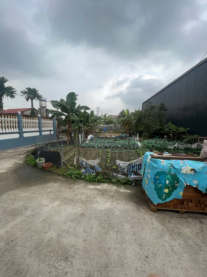 Đất thổ cư 100m² tại Phổ Yên giá 1.1 tỷ - Hướng Nam, 2 mặt thoáng!