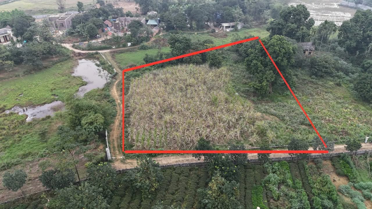 Đất nền 2263m² tại Liên Sơn, Lương Sơn - Cơ hội đầu tư hiếm có!