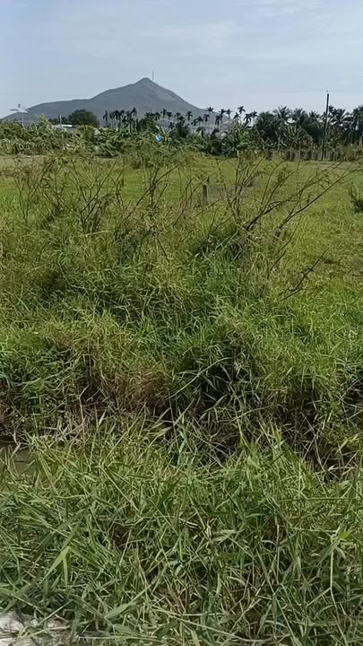 Đất thổ cư 100m² tại thị trấn Ma Lâm 540m² giá chỉ 6,xx triệu - Cơ hội đầu tư hấp dẫn!