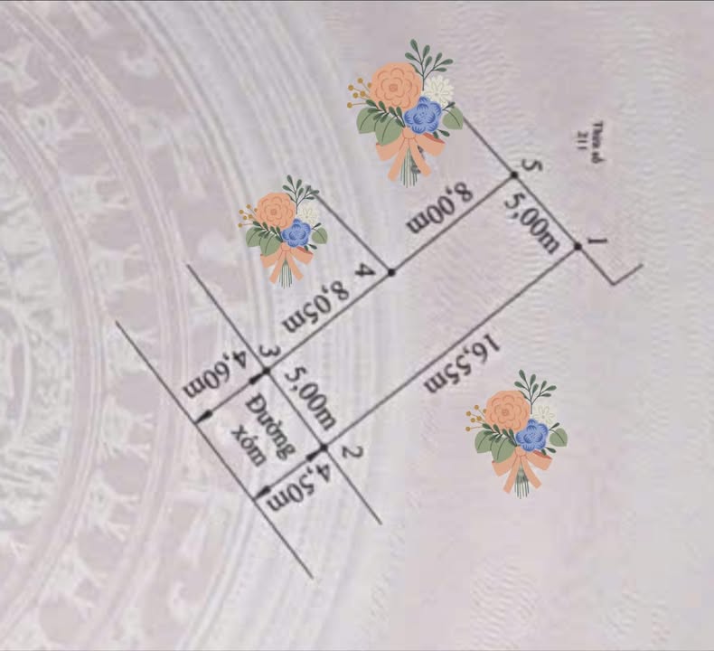 Đất nền Thanh Lương Vĩnh Bảo 84m² giá thỏa thuận - Pháp lý rõ ràng, sát khu công nghiệp