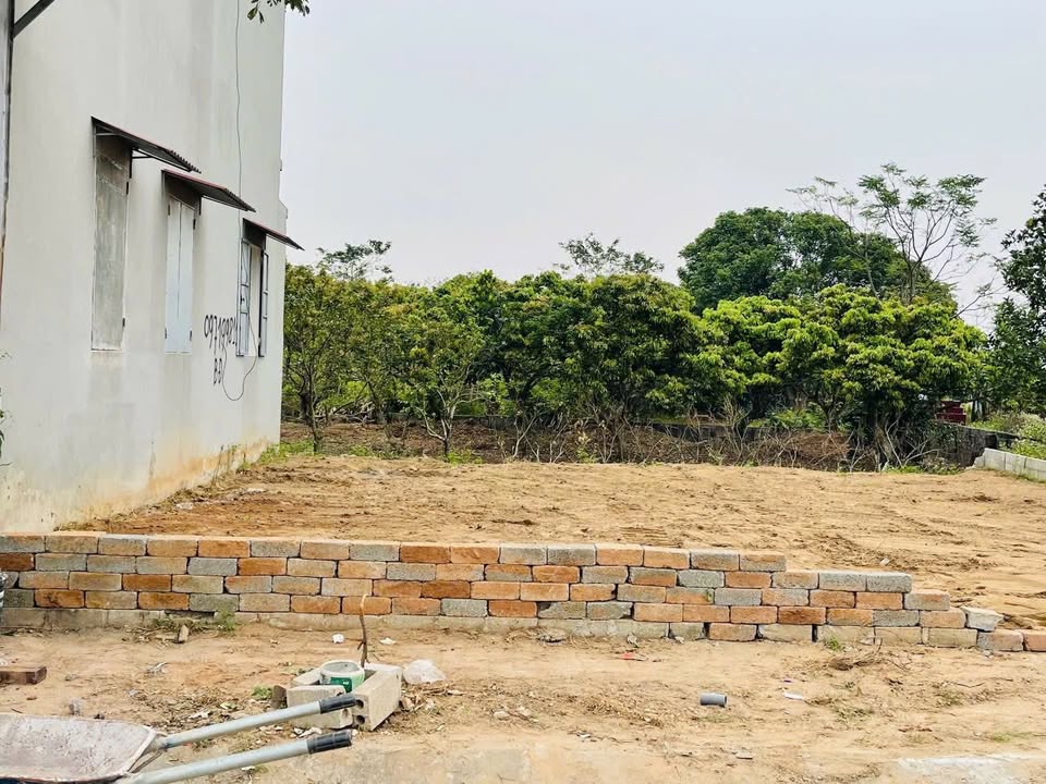 Đất nền Tân Hưng Hưng Yên 97m² giá 2 tỷ - Đầu tư sinh lời ngay!