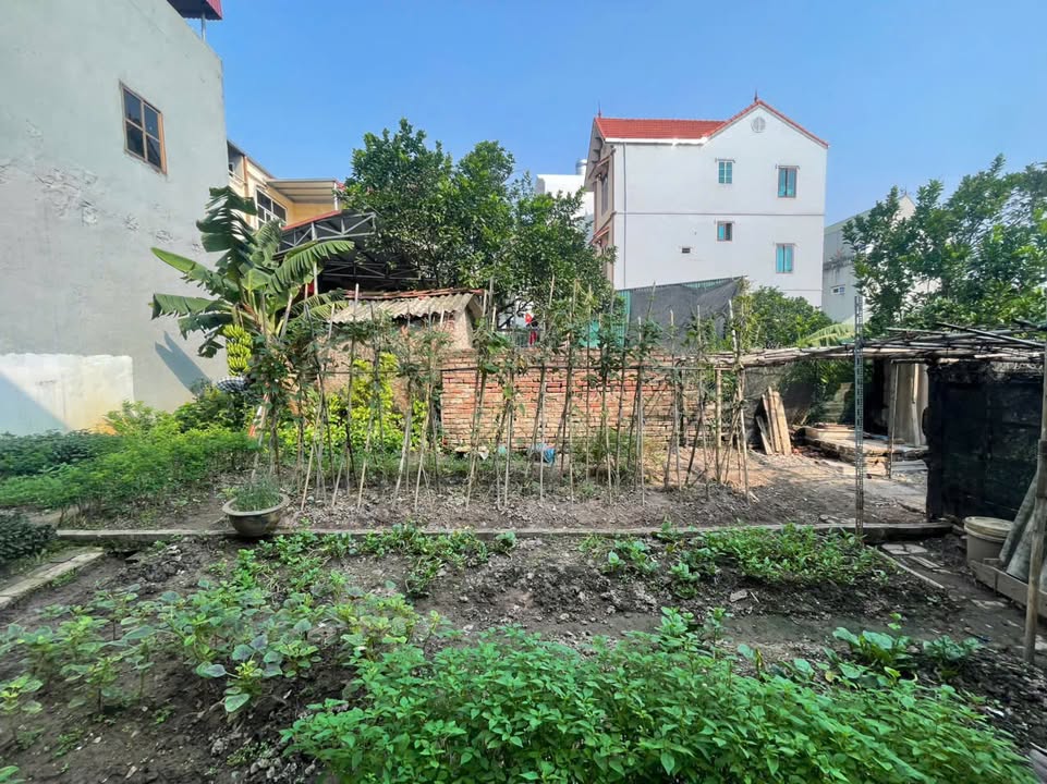 Đất thổ cư Tây Tựu 55m² giá 5 tỷ - Tiềm năng đầu tư lớn!