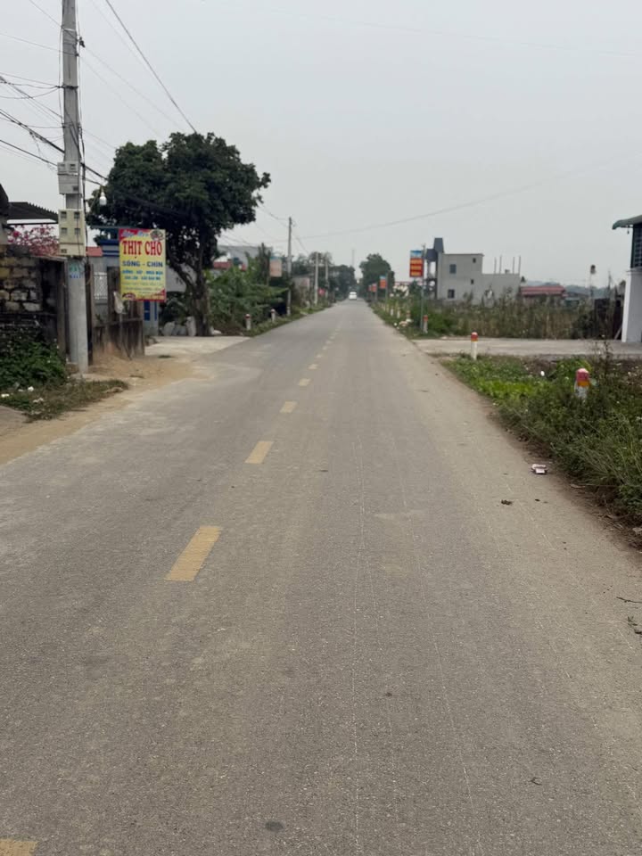 Đất nền Nho Quan Ninh Bình 210m² - Vị trí đắc địa, giá hấp dẫn!