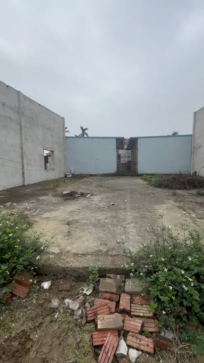 Đất nền mặt đường 360 Quang Hưng, An Lão 366m² - Đầu tư sinh lời ngay!