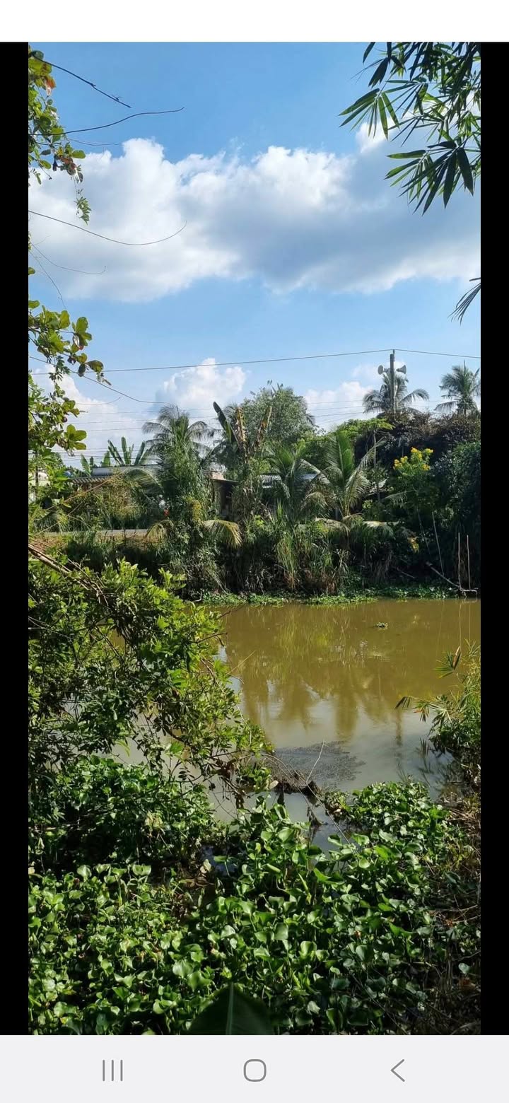 Đất mặt tiền Thạnh Lộc, Cai Lậy 21000m² giá 1.3 tỷ - Khu vực thổ cư tiềm năng!