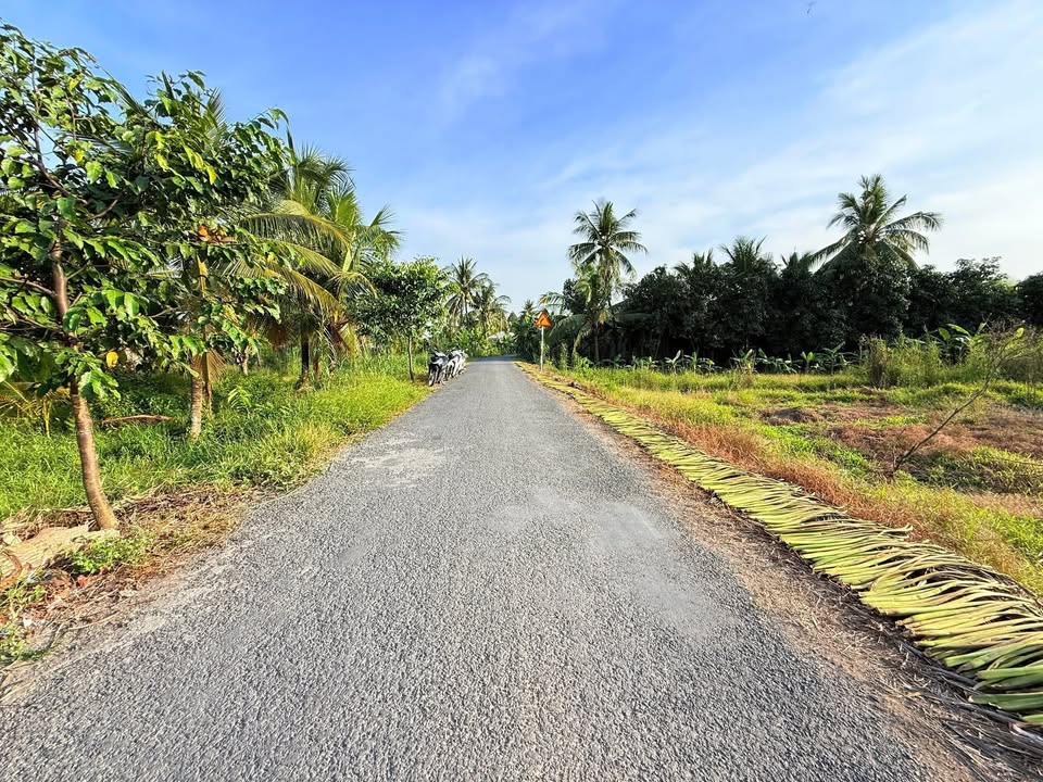 Lô đất mặt tiền lộ nhựa Long Phú, Tam Bình 212m² giá 490 triệu - Đầu tư sinh lời ngay!