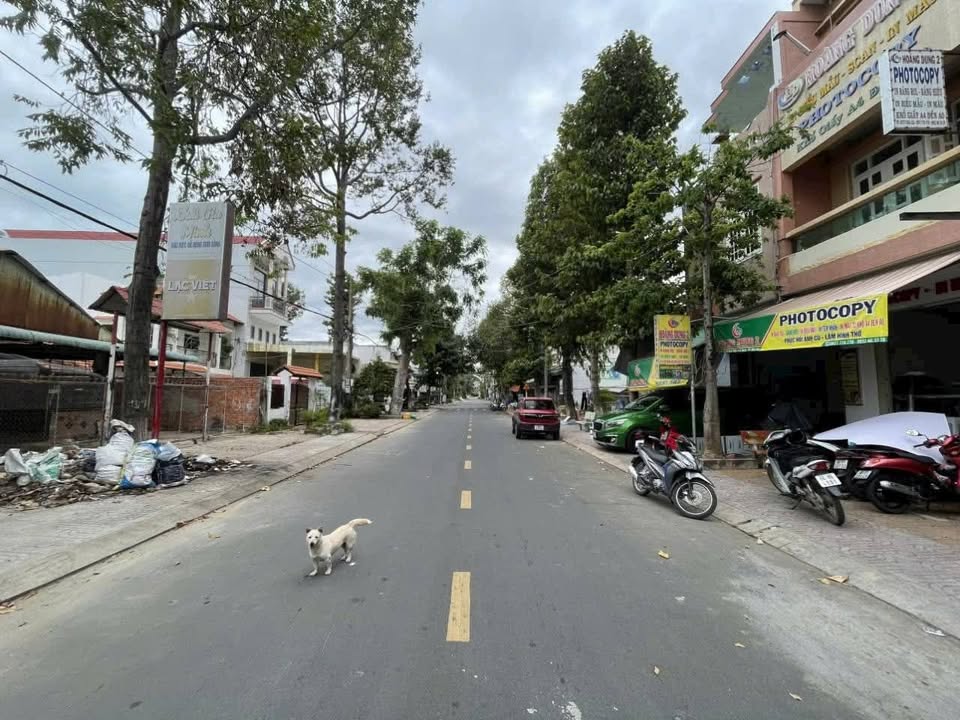 Nhà đất vị trí vàng Phường Hồng Ngự 510m² giá 8 tỷ - Cơ hội đầu tư hiếm có!