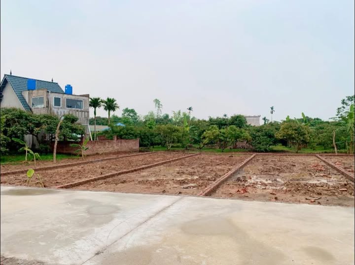 Đất nền Thanh Quang, Thanh Hà 95.6m² giá tốt - Đầu tư lý tưởng!