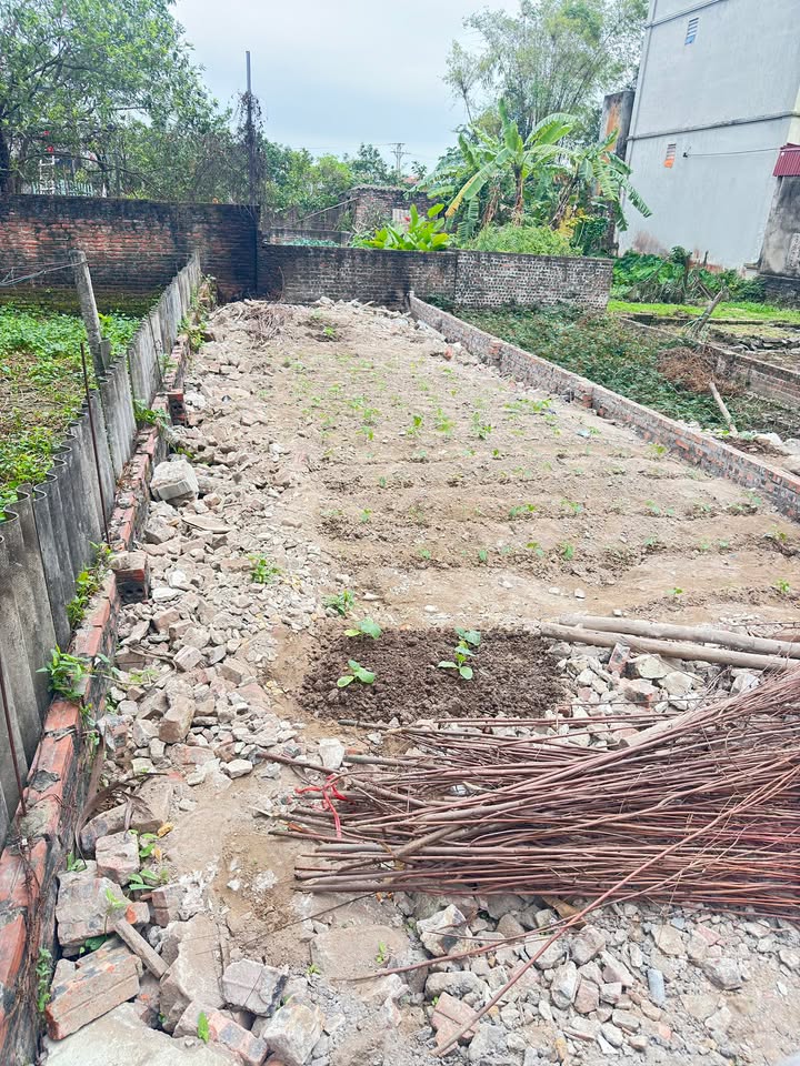 Bán đất Hội Phụ – Đông Hội 50m² giá 4.0 tỷ - Vị trí đẹp, tiềm năng tăng giá!