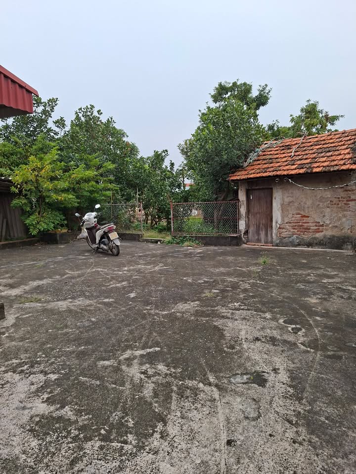 Đất ở Cẩm Hoàng 273m² giá 1.7 tỷ - Vị trí đắc địa gần chợ và trường học!