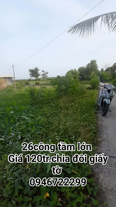 Đất ruộng mặt tiền 200m² tại xã Đông Hưng, 42 công, giá 5.04 tỷ - Cơ hội đầu tư hấp dẫn!