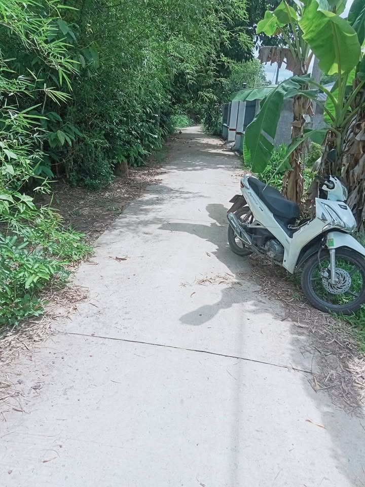 Đất thổ cư 2146m² xã Thạnh Hòa Sơn, giá 550 triệu - Phù hợp cho chăn nuôi và trồng trọt!