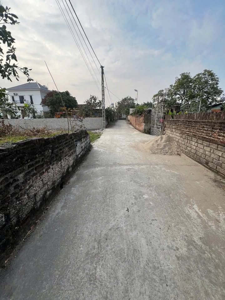 Đất nền 150m² tại Đại Đồng 1, Hiệp Hoà - Giá tốt chỉ 800 triệu!