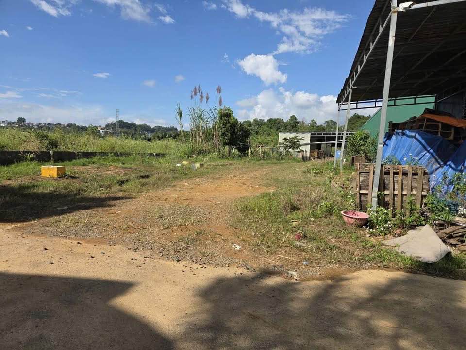 Đất nông nghiệp Lộc Châu Bảo Lộc 1613m² giá chỉ 4.2 tỷ - Cơ hội đầu tư hấp dẫn!