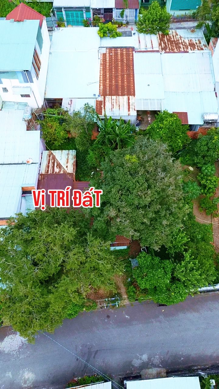 Đất thổ cư Tương Bình Hiệp Thủ Dầu Một 50m² giá 2 tỷ - Vị trí đắc địa, đầu tư sinh lời!