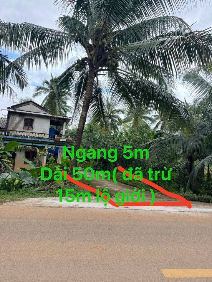 Đất thổ cư mặt tiền đường 638, thôn Gia Đức, huyện Hoài Ân - Giá chỉ 700 triệu!