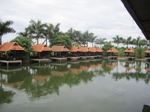 Đất Trang Trại 7500m² tại Quang Trung, Bỉm Sơn - Vị trí đắc địa, tiềm năng đầu tư lớn!