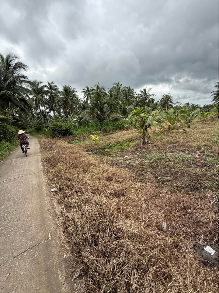 Đất nền xã Song Lộc, Trà Vinh 2000m² giá 816 triệu - Cơ hội đầu tư hấp dẫn!