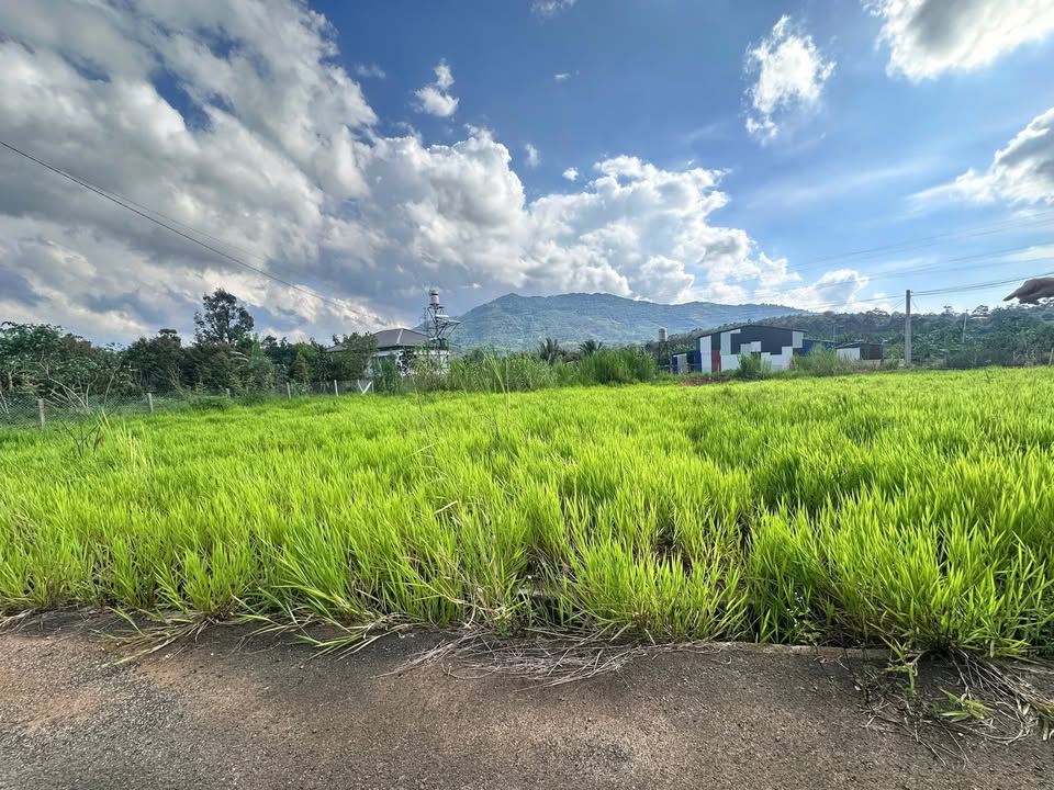 Đất nền Lộc Sơn Bảo Lộc 810m² giá 3.8 tỷ - Cơ hội đầu tư tuyệt vời!