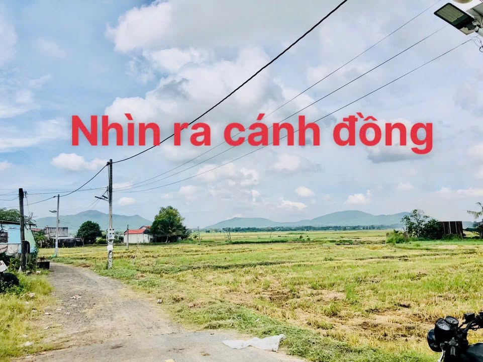 Đất thổ cư Phước Hải, Đất Đỏ 1100m² giá 4.5 tỷ - Cơ hội đầu tư tuyệt vời!