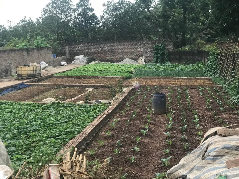 Đất nền Kim Bài 41m² giá 2 tỷ - Cơ hội đầu tư hấp dẫn!