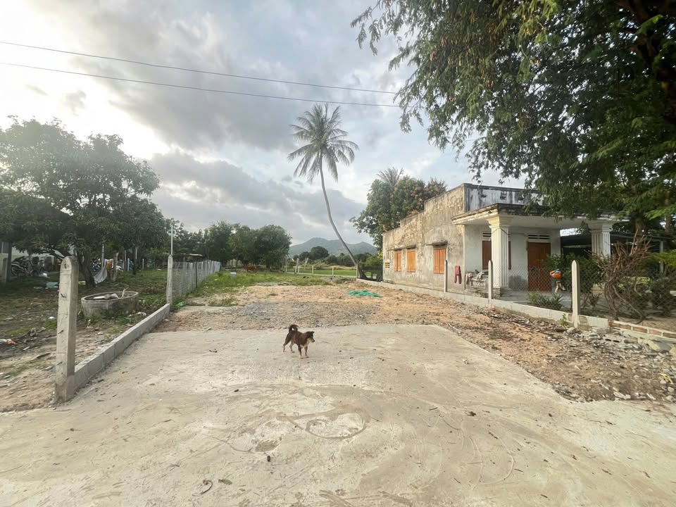 Đất nền Cam Lâm 697m² giá 2 tỷ - Tiềm năng đầu tư hấp dẫn!