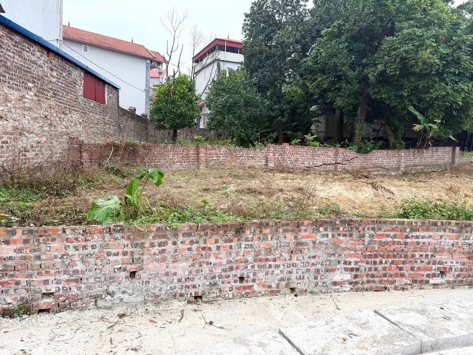 Đất thổ cư 100m² tại Tân Yên, Sóc Sơn chỉ 1.3 tỷ - Pháp lý rõ ràng, đầu tư sinh lời!