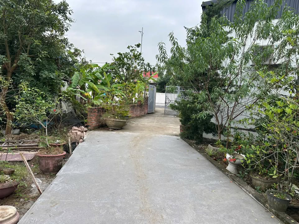 Nhà phố Lâm Động Thủy Nguyên 70m² giá 1 tỷ - Ô tô đỗ cửa, hàng hiếm!