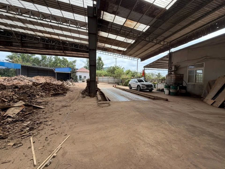 Cho thuê xưởng tại Phước Hoà, Phú Giáo - Diện tích 15.000m², giá 300 triệu/tháng!