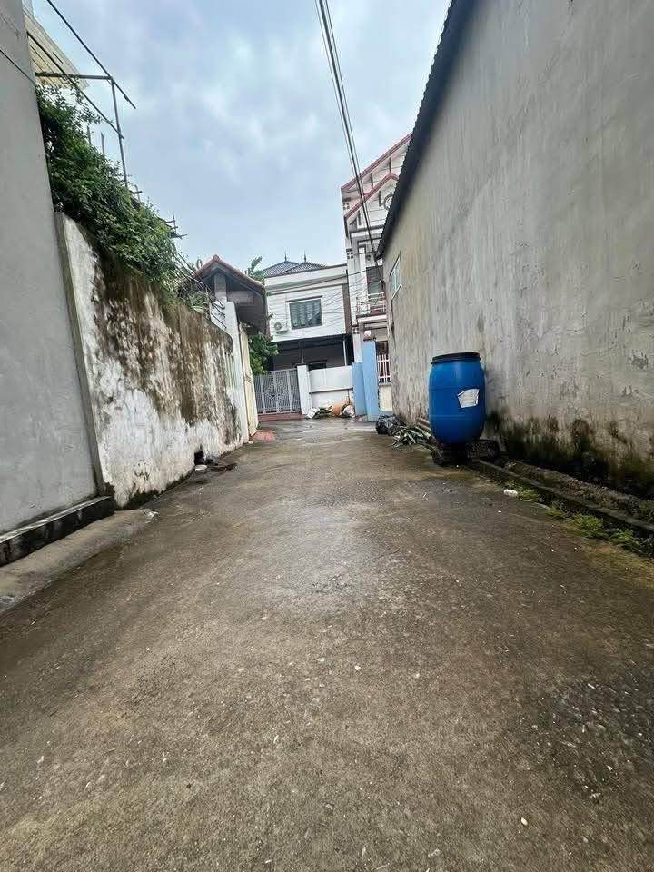 Đất thổ cư thôn An Lạc, xã Như Quỳnh 105m² giá chỉ từ 21 triệu/m² - Cơ hội đầu tư tuyệt vời!