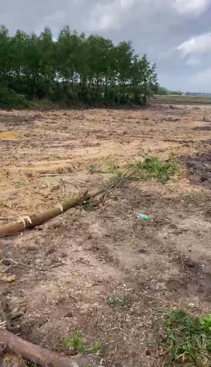 Đất nền Bình Quý Thăng Bình 1113m² giá 8xx triệu - Đầu tư sinh lời hấp dẫn!