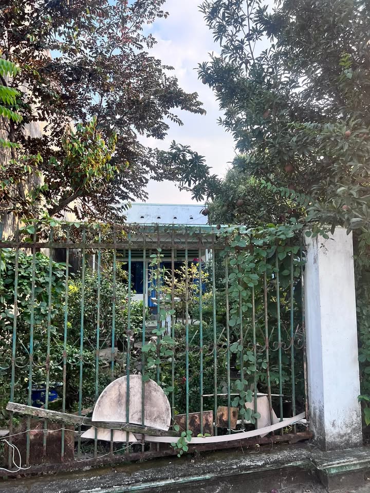 Nhà vườn Thạnh Lộc 198m² giá 7.5 tỷ - Tiềm năng đầu tư hấp dẫn!