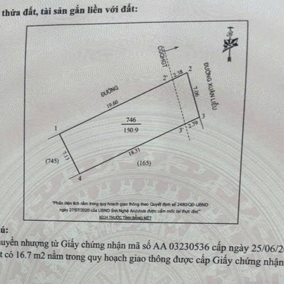 Đất Nghi Kim mặt đường Xuân Liễu 150m² giá 4 tỷ - Lô góc tiềm năng đầu tư!