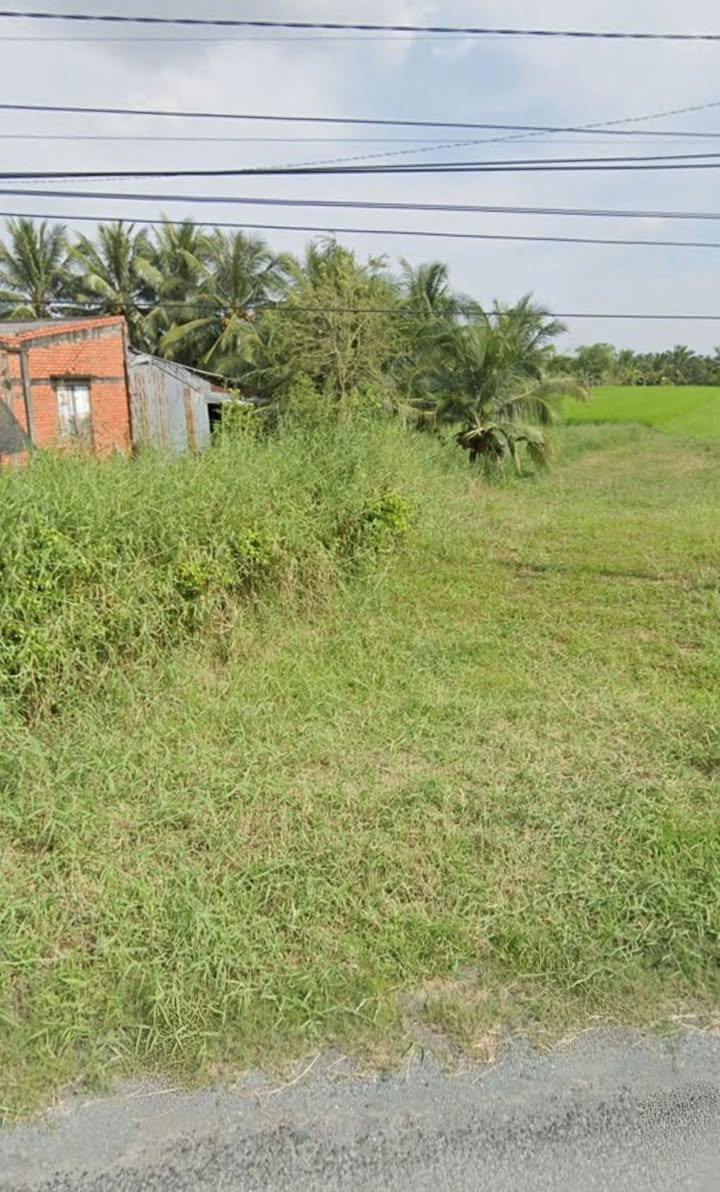 Đất mặt tiền đường Tân Mỹ, Ba Tri 1100m² giá 700 triệu - Cơ hội đầu tư hấp dẫn!