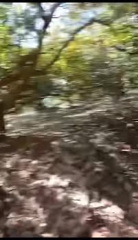 Đất vườn 2ha tại Đức Cơ - Gia Lai giá 500 triệu - Cơ hội đầu tư hấp dẫn!