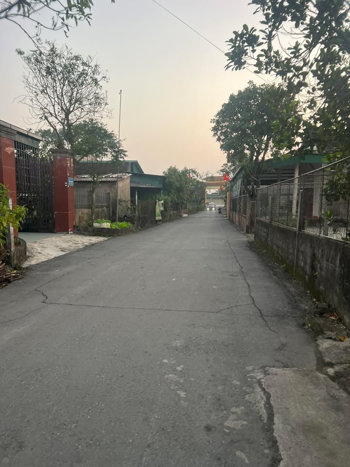 Đất Hưng Mỹ Cẩm Thành 272m² giá 1 tỷ - Đường ô tô rộng rãi, thuận lợi kinh doanh!