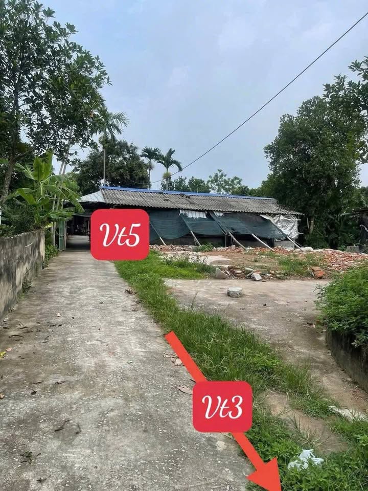 Đất nền An Ninh Bình Lục 102m² - Sổ đỏ chính chủ, ô tô đỗ cửa!