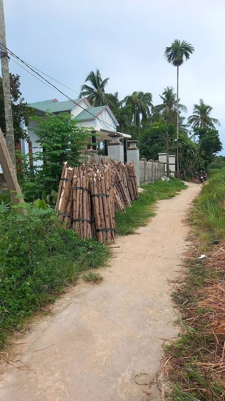 Đất thổ cư Hoài Mỹ, Hoài Nhơn 120m² giá 200 triệu - Đầu tư tuyệt vời cho gia đình trẻ!