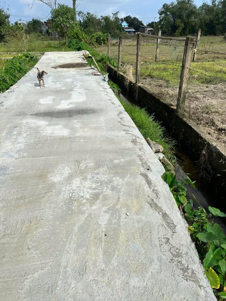 Đất nền Tứ Ngân Đà Nẵng 120m² - Cần bán gấp trong ngày!