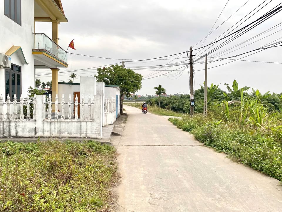 Đất nền Hoàng Quế, Đông Triều 112.4m² - 140.8m² - Đường ô tô, giá chỉ từ 900 triệu!