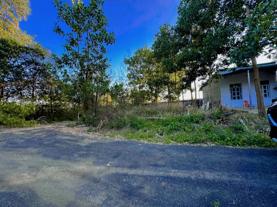 Đất nền Ea Tiêu, Cư Kuin 100m² giá 265 triệu - Sổ đỏ chính chủ, chỉ 200m đến chợ!