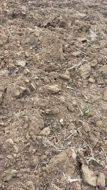 Đất Farm 38.000m² tại Ea H'leo, Đắk Lắk - Giá chỉ 2 tỷ, Tiện ích tuyệt vời!