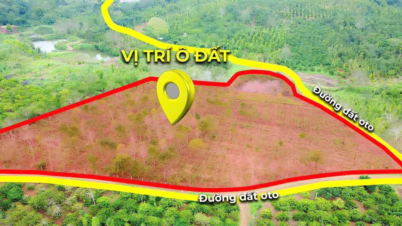 Đất nền 8000m² xã Ea Phê, huyện Krông Pắc - Giá 200 triệu/sào, cơ hội đầu tư tốt!