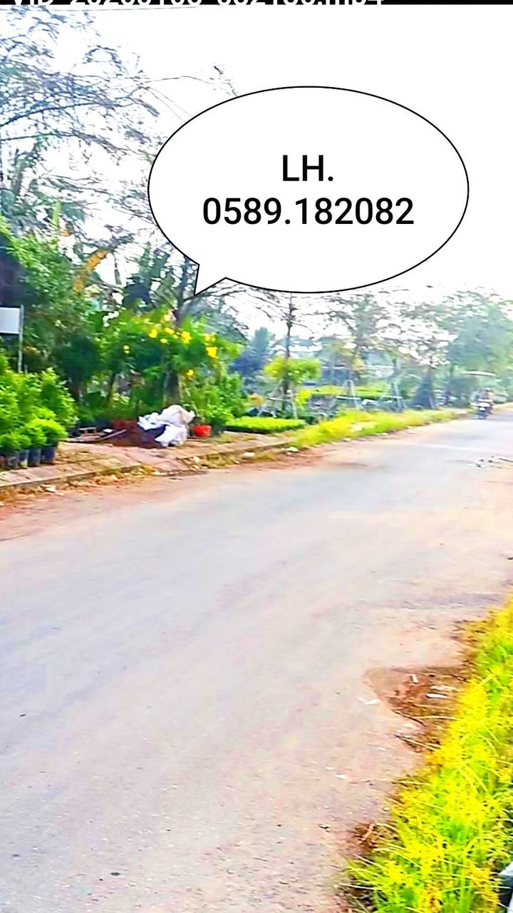 Đất nền Tân Quy Đông, Sa Đéc 2200m² giá 26.4 tỷ - Đầu tư tiềm năng tại Làng Hoa!