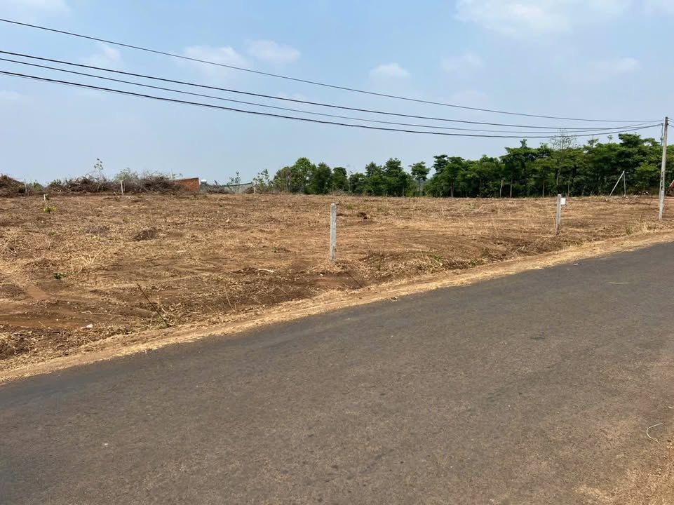 Đất mặt tiền đường nhựa Hòa Xuân 1ha giá 4.768 tỷ - Đầu tư sinh lời ngay!