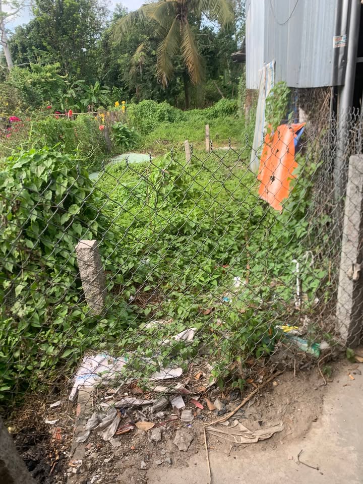 Đất mặt tiền chợ Đinh Công Tráng, Sa Đéc 107m² giá 1.75 tỷ - Đầu tư sinh lời ngay!